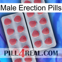 Male Erection Pills 19